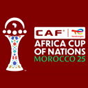Кубок африканских наций. Полуфинал